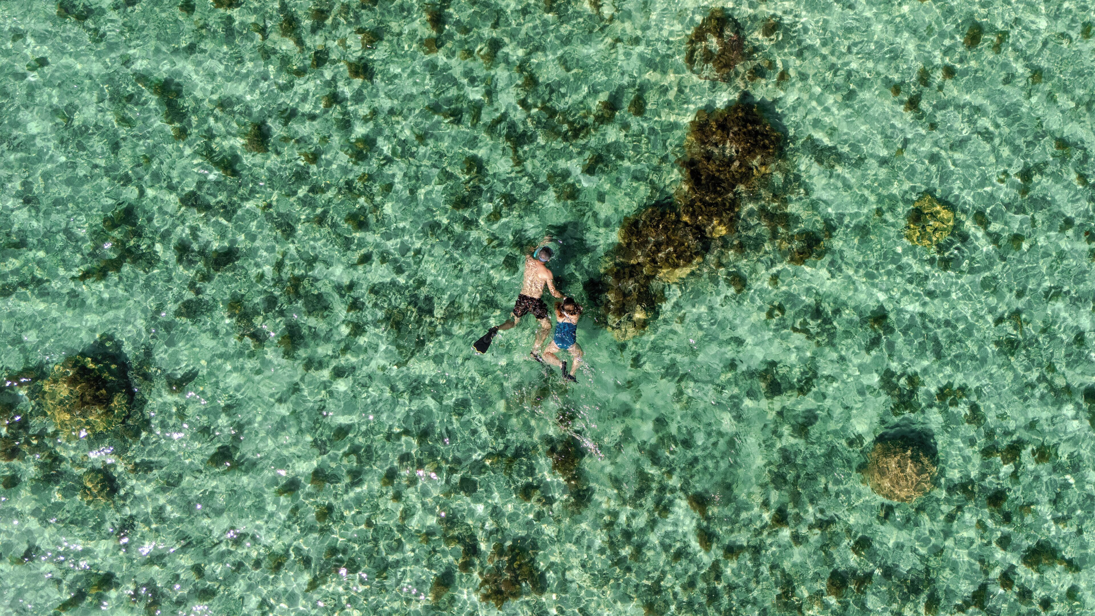 A clear view of a beach with visible seaweed and rocks.