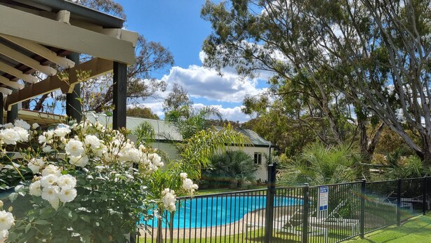 A backyard with a swimming pool, a pergola, and a variety of trees and plants. - Golden Heritage Accommodation (Beechworth)