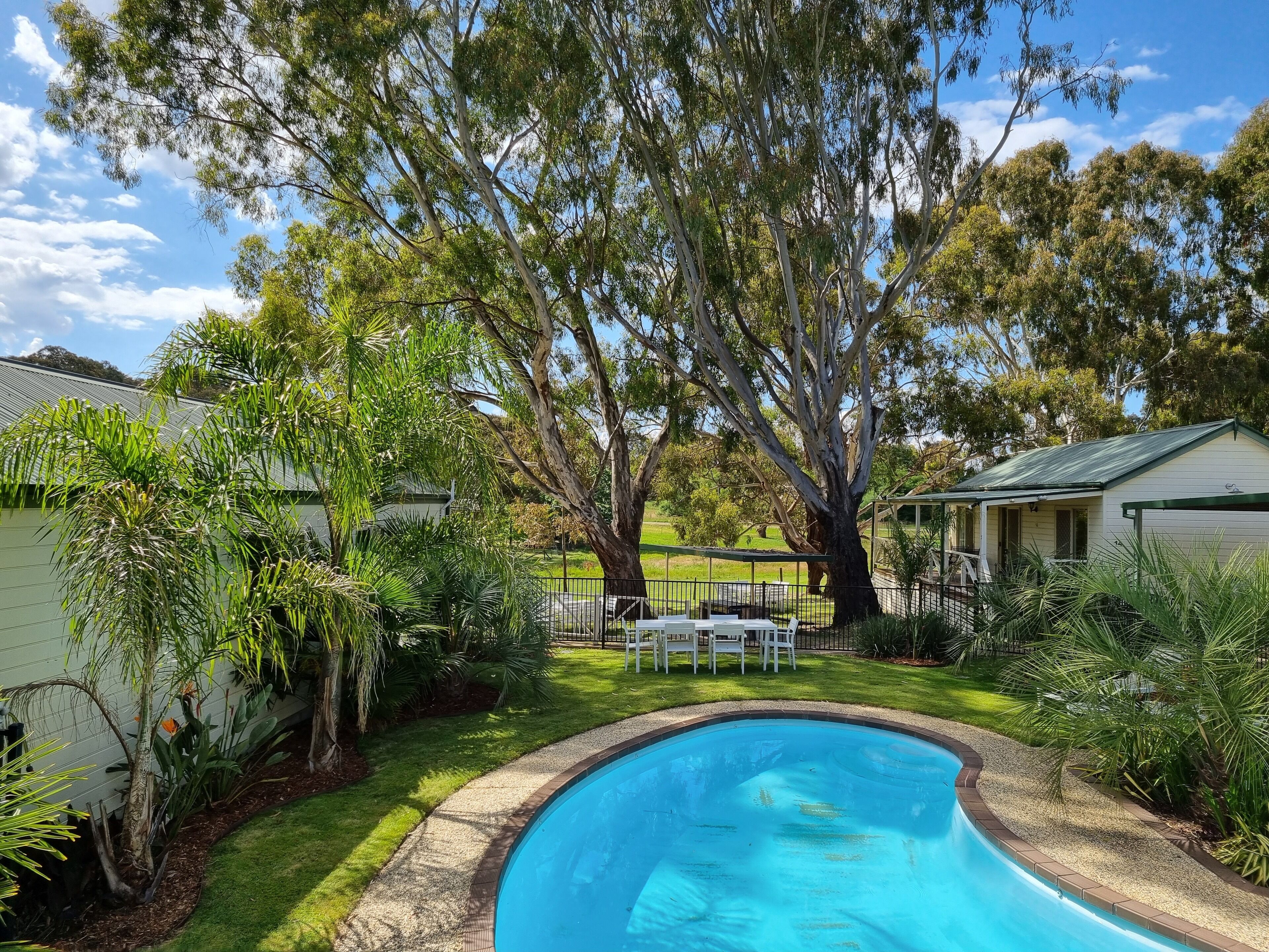 Outdoor pool, pool loungers
