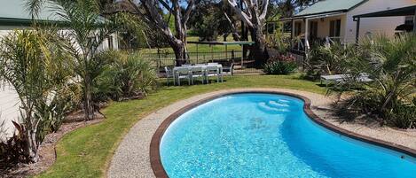 A swimming pool with a curved edge, surrounded by a gravel border and a grassy area. There are trees and a building with a green roof in the background.