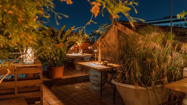 Un patio al aire libre con una mesa, sillas, plantas en macetas y un farol.