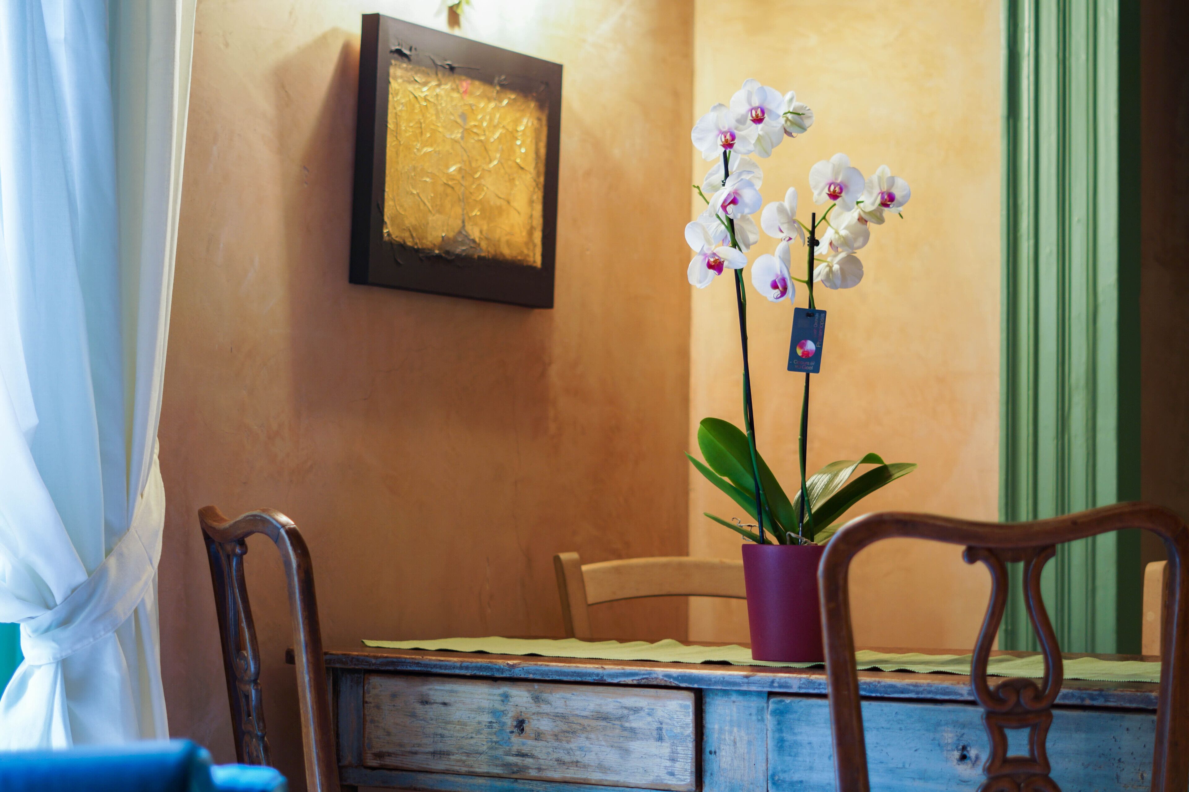 A room with a wooden desk, a chair, a potted plant, and a framed artwork on the wall.