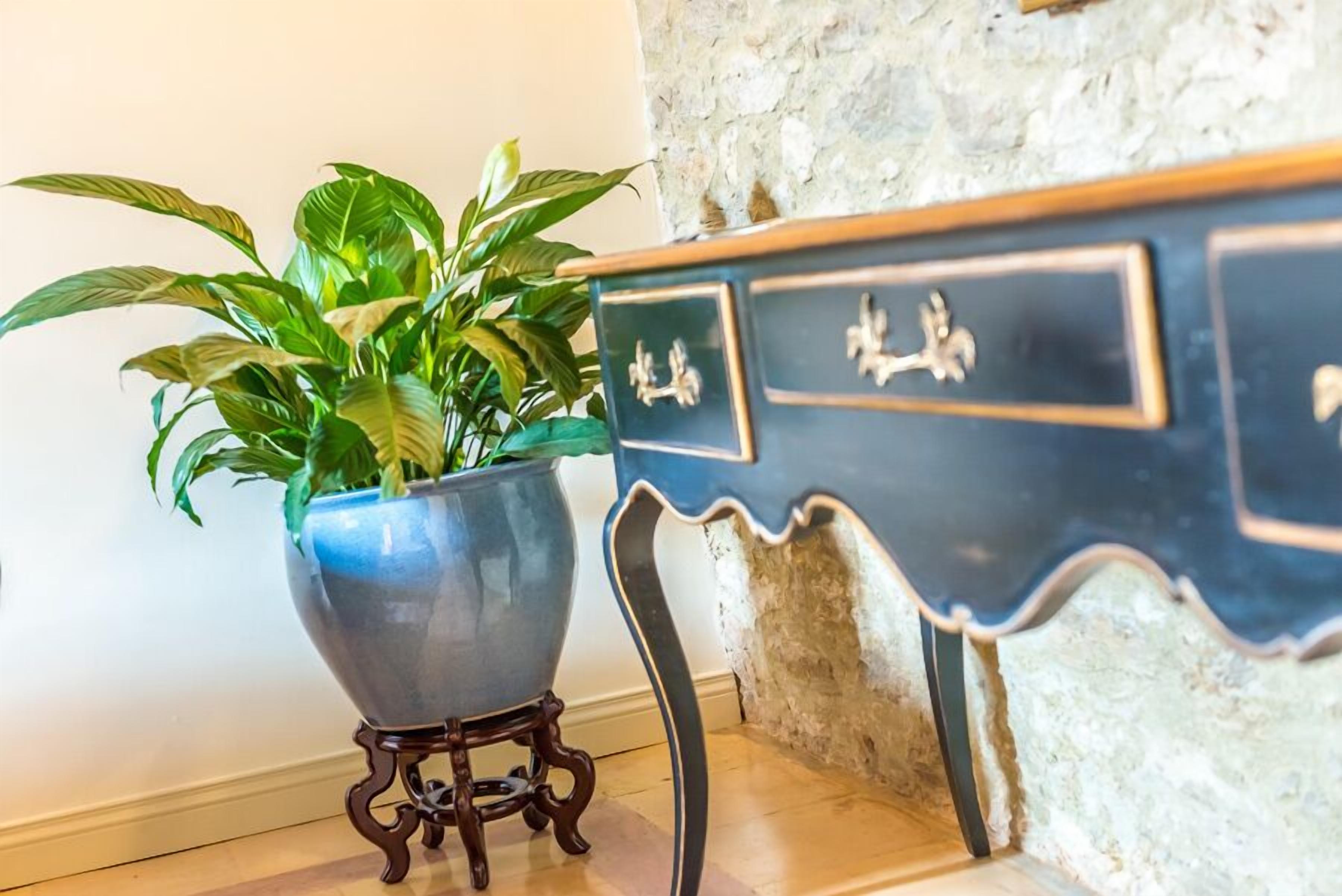 Una planta en maceta sobre un pequeño soporte junto a un aparador azul oscuro con tiradores decorativos.