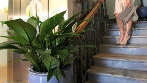 Une femme descend un escalier, tenant un pot de fleurs sur le palier.