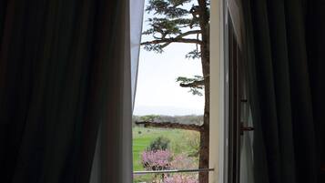 Une fenêtre avec des rideaux, une vue sur un arbre et un champ d’herbe.