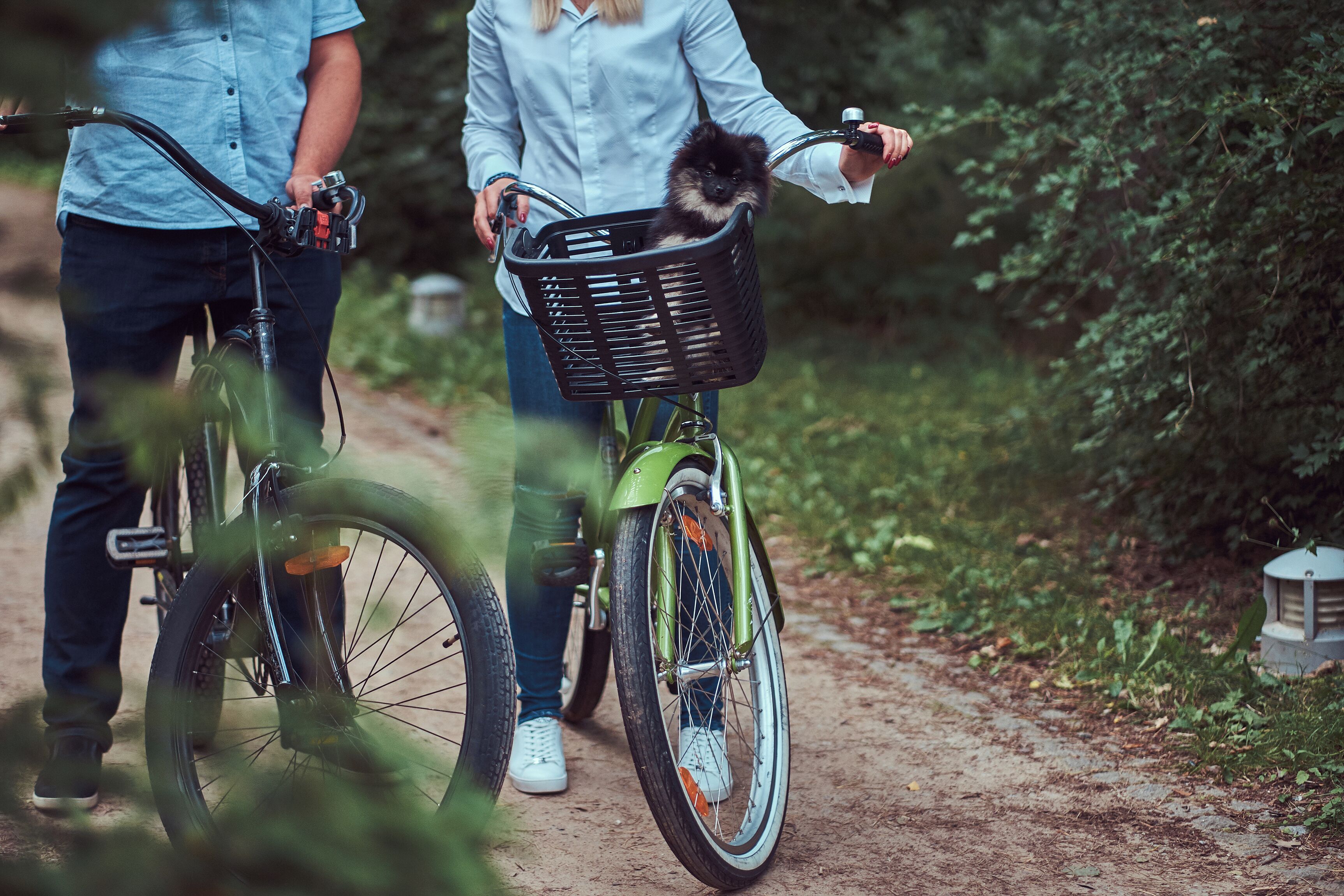 Eine Person fährt auf einem grünen Fahrrad mit einem Korb, in dem ein kleiner Hund sitzt, auf einem unbefestigten Weg, umgeben von viel Grün.