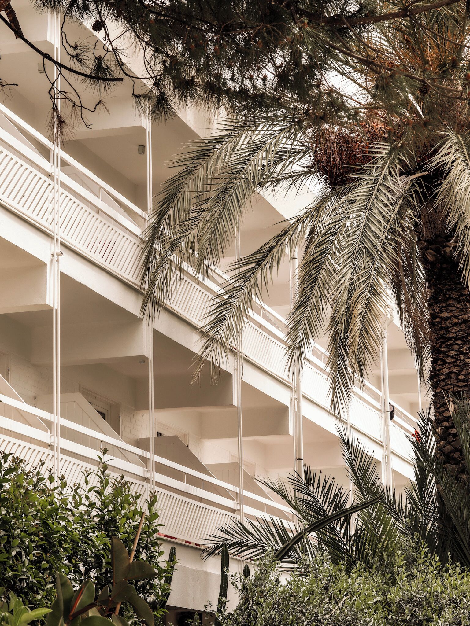 A multi-level atrium with a central staircase, surrounded by lush greenery including palm trees and various plants.