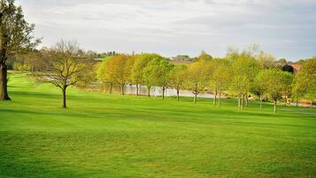 A grassy field with trees and a body of water in the background.