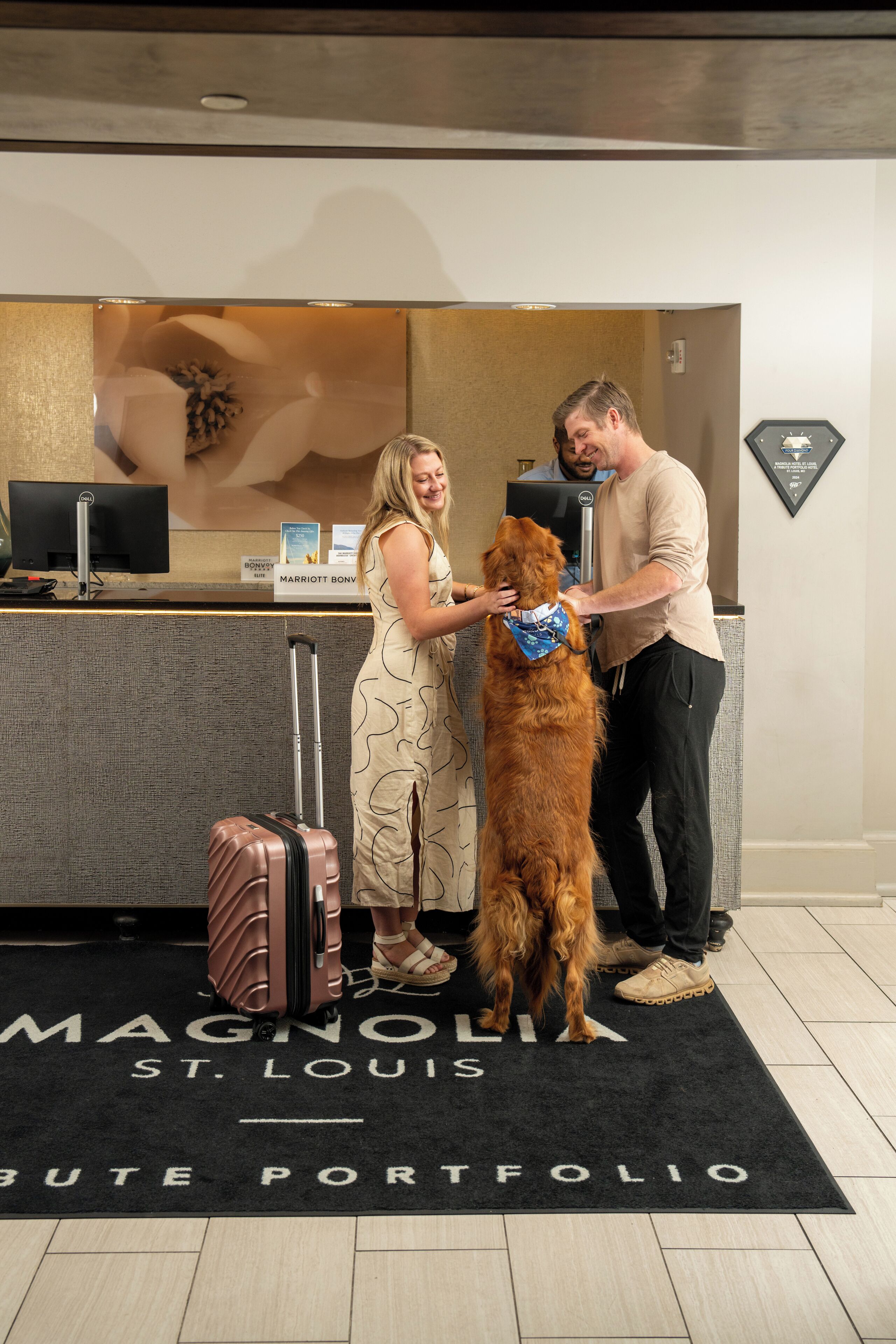A hotel reception desk with a computer, a sign for the Marriott Bonvoy hotel, and a dog wearing a bandana.