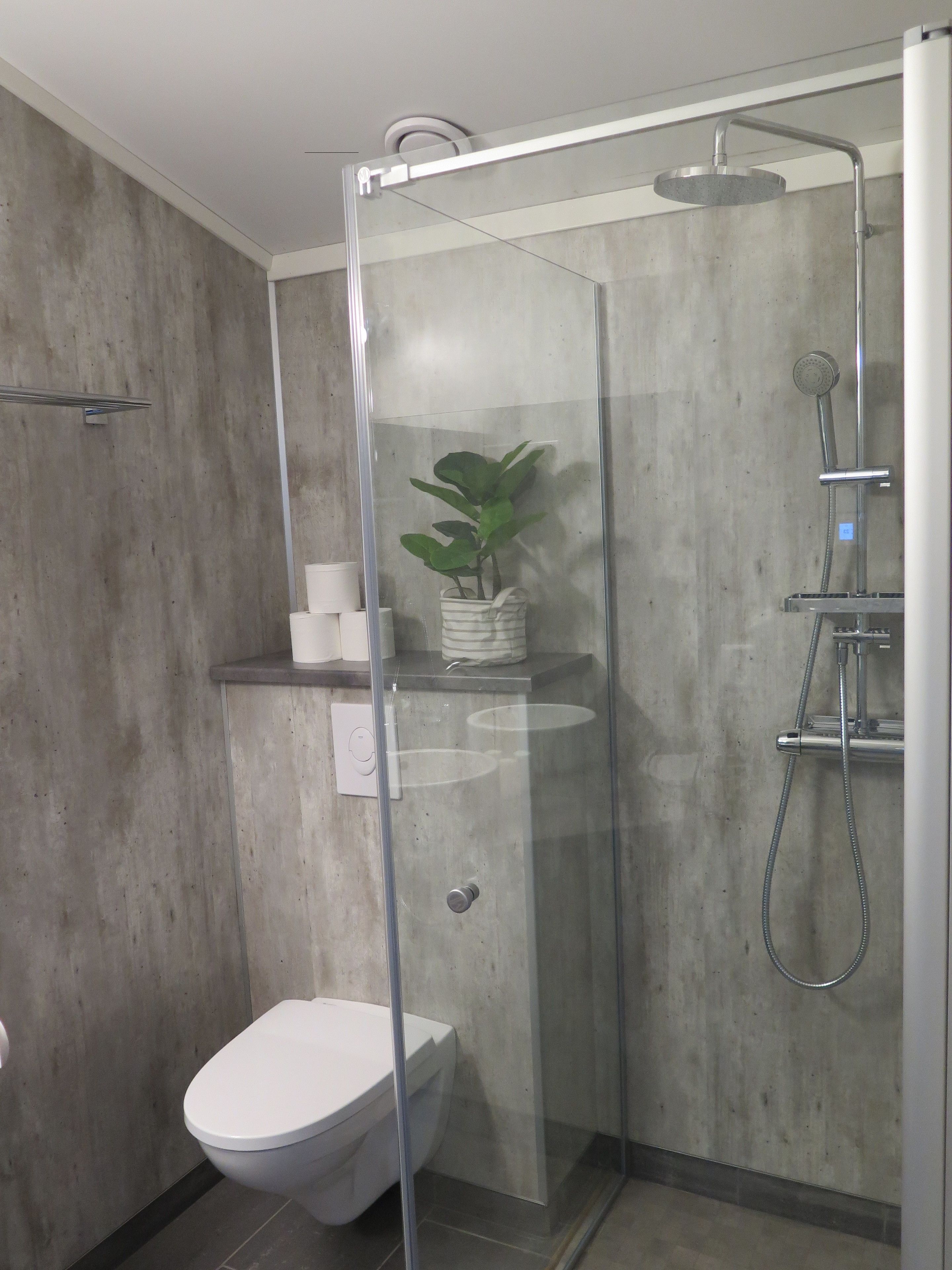 A modern bathroom with a glass-enclosed shower, a toilet, and a small shelf with a plant.