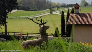 A stag in a grassy field with a fence and trees in the background. - Hotel Le Foresterie Dei Piaceri Campestri (Varese)