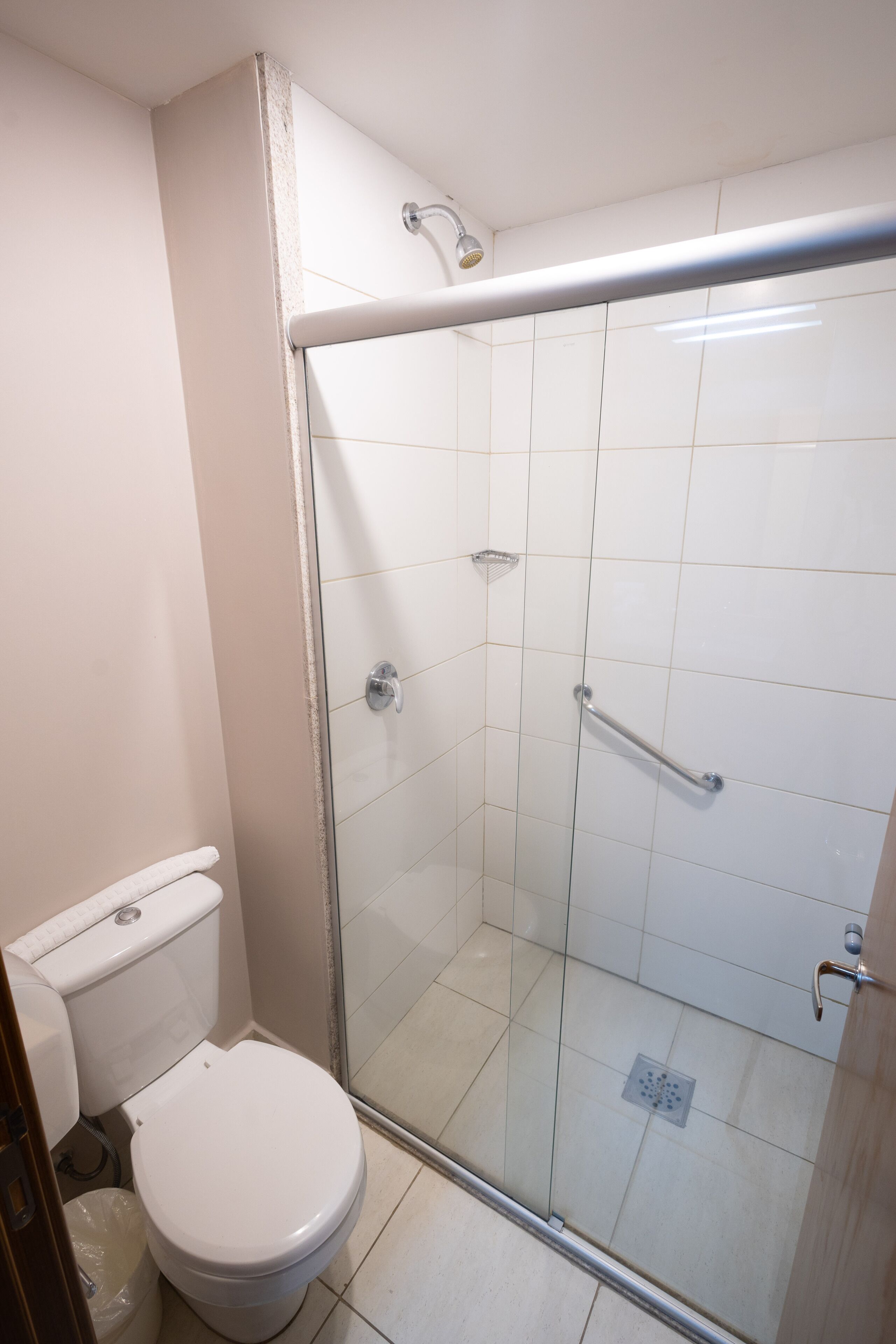 A modern bathroom with a glass-enclosed shower, a white toilet, and a grab bar.