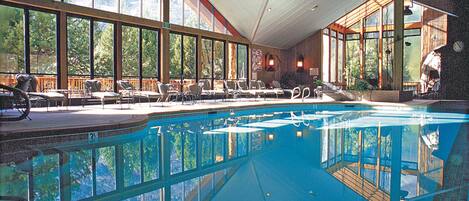 Una piscina interior con vistas despejadas del bosque circundante a través de amplias ventanas.