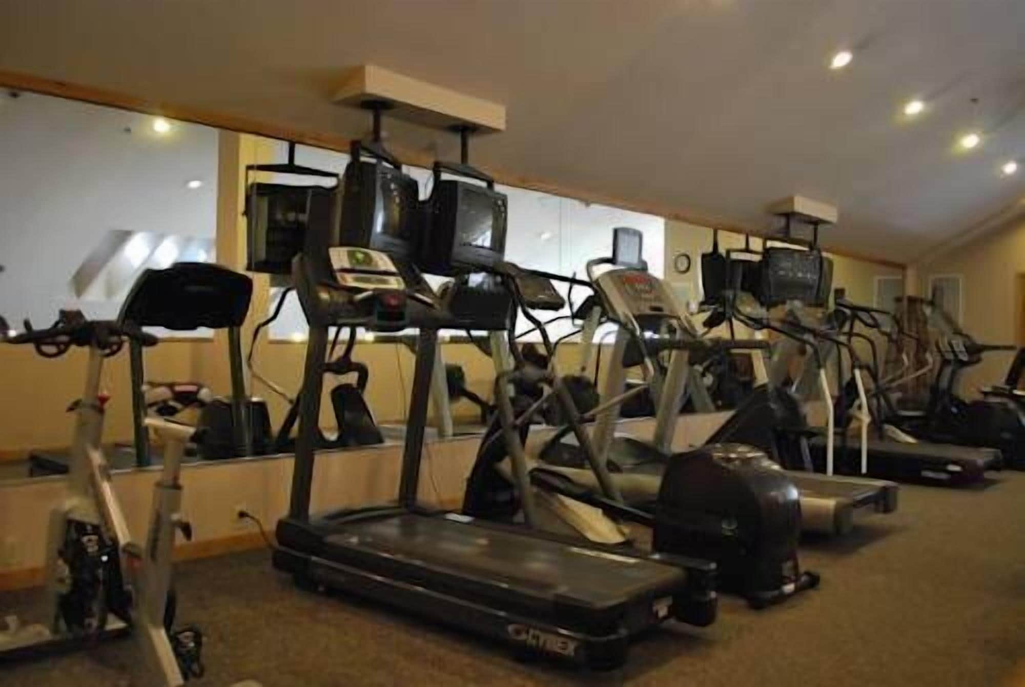 Ein Fitnessstudio mit mehreren Laufbändern und Crosstrainern.