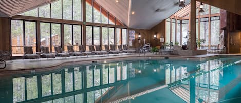 Indoor pool, sun loungers