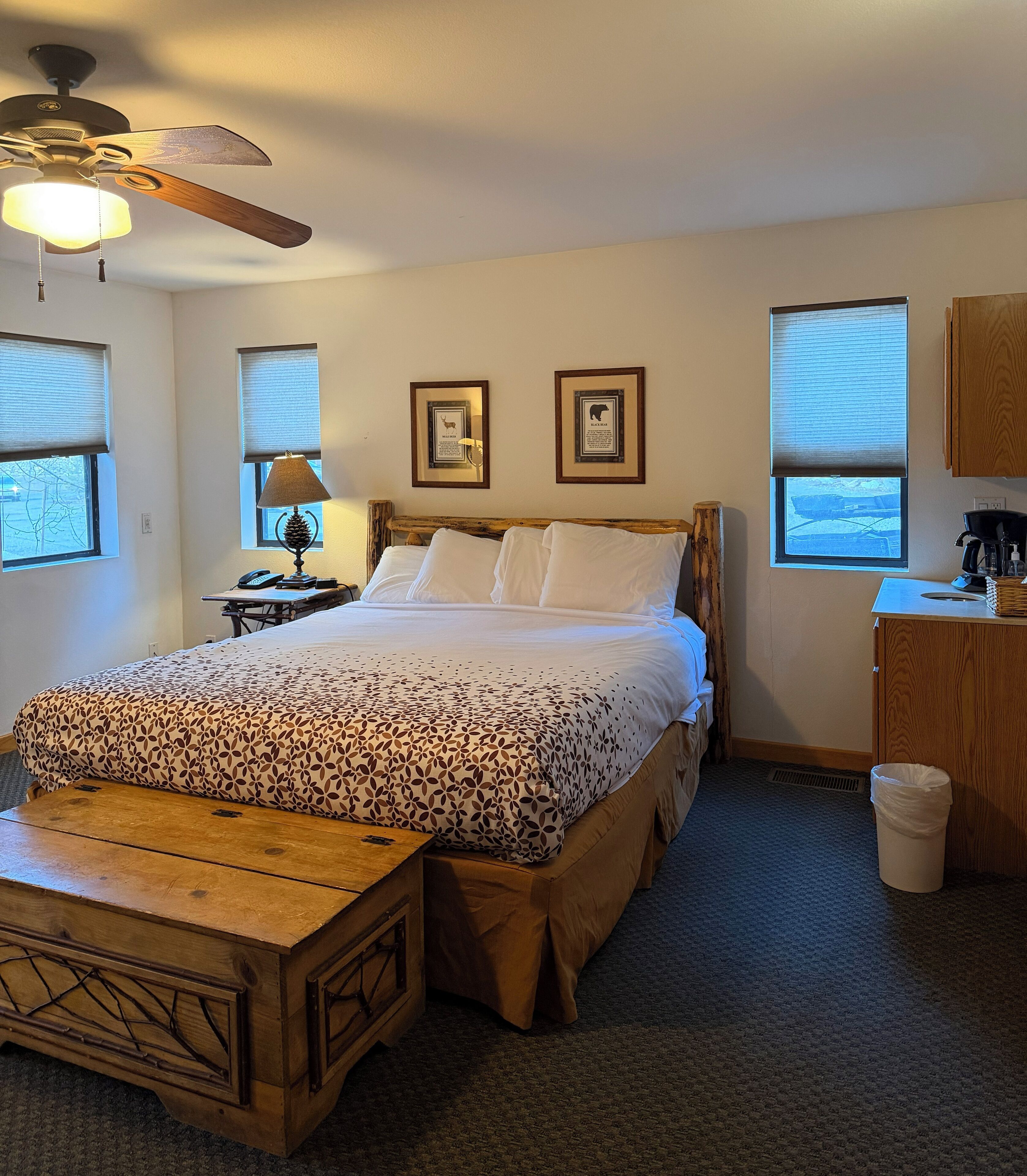 Iron/ironing board, bed sheets