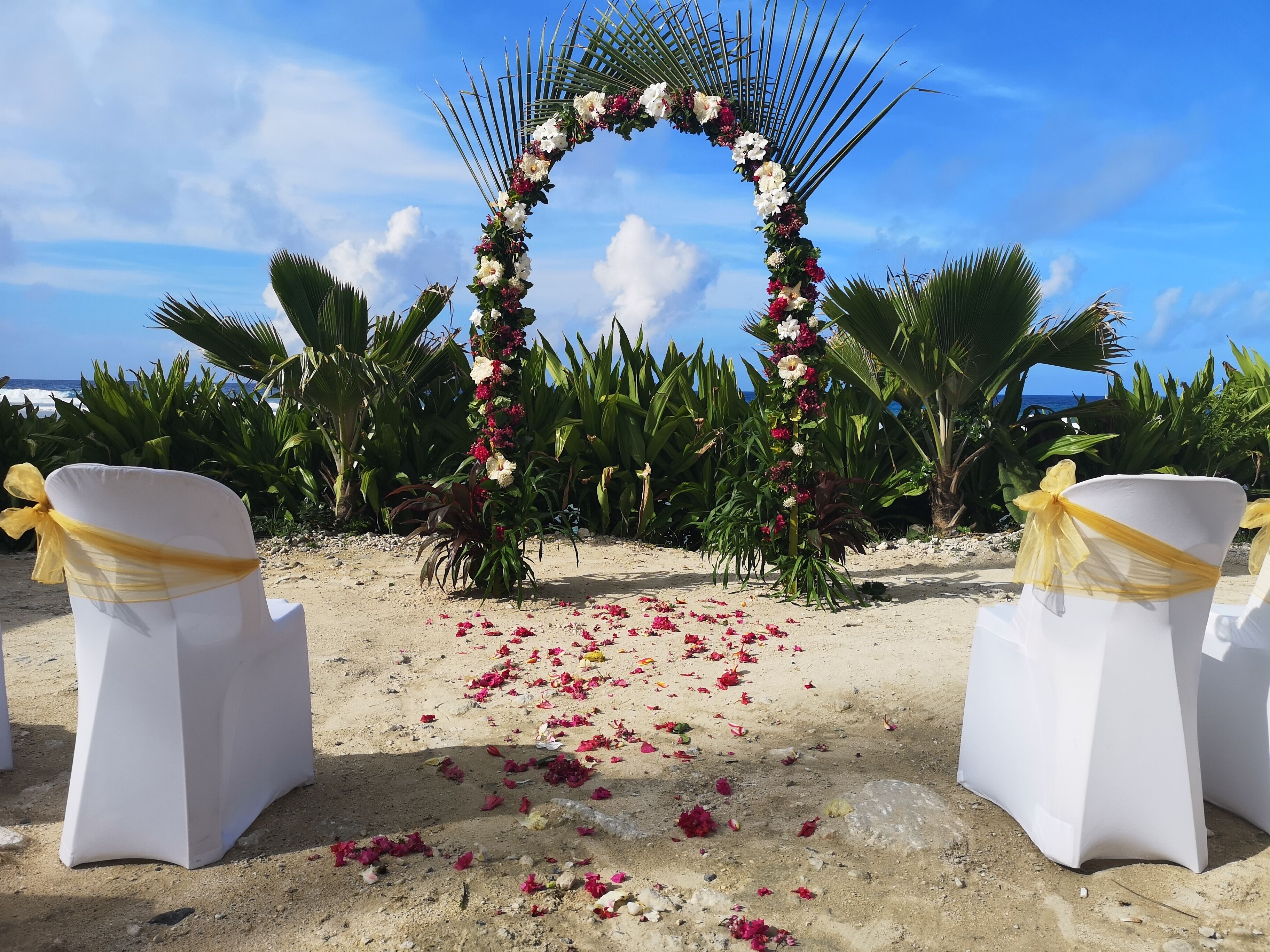 Outdoor wedding area