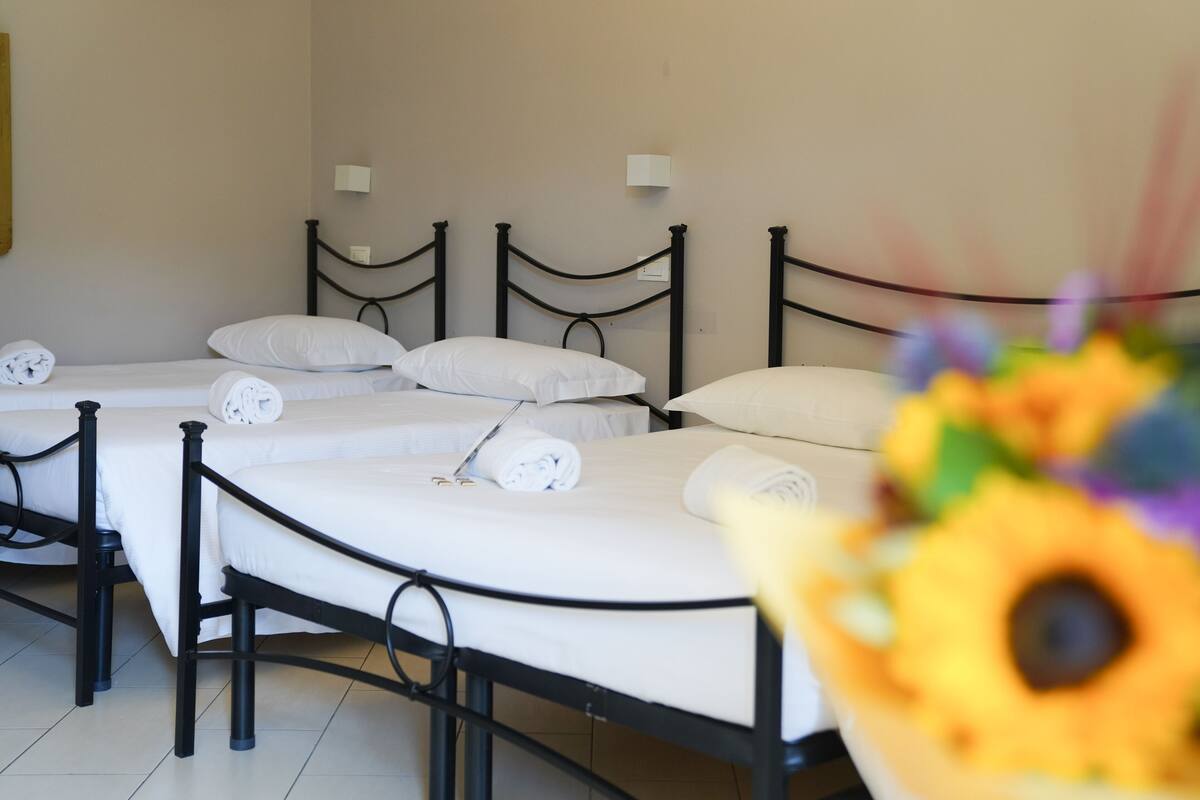 A hotel room with three beds, each with white linens and pillows, and a black metal frame.