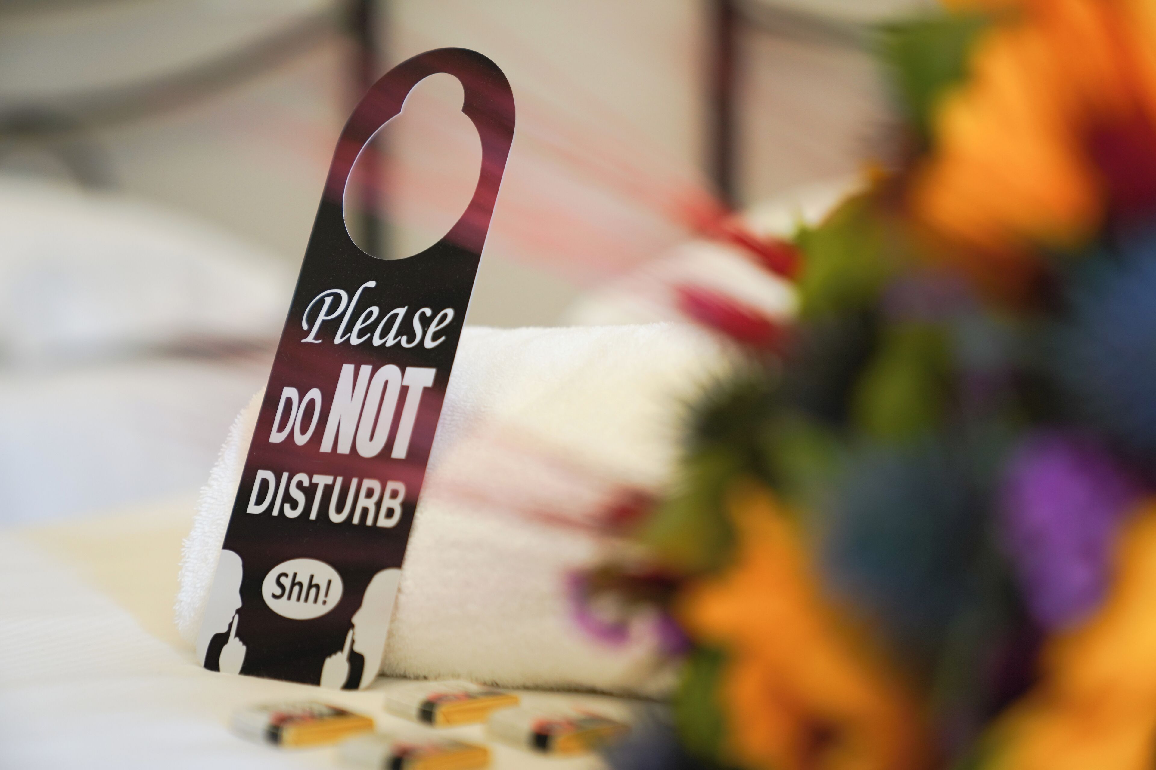 Foto - Affittacamere ALBA