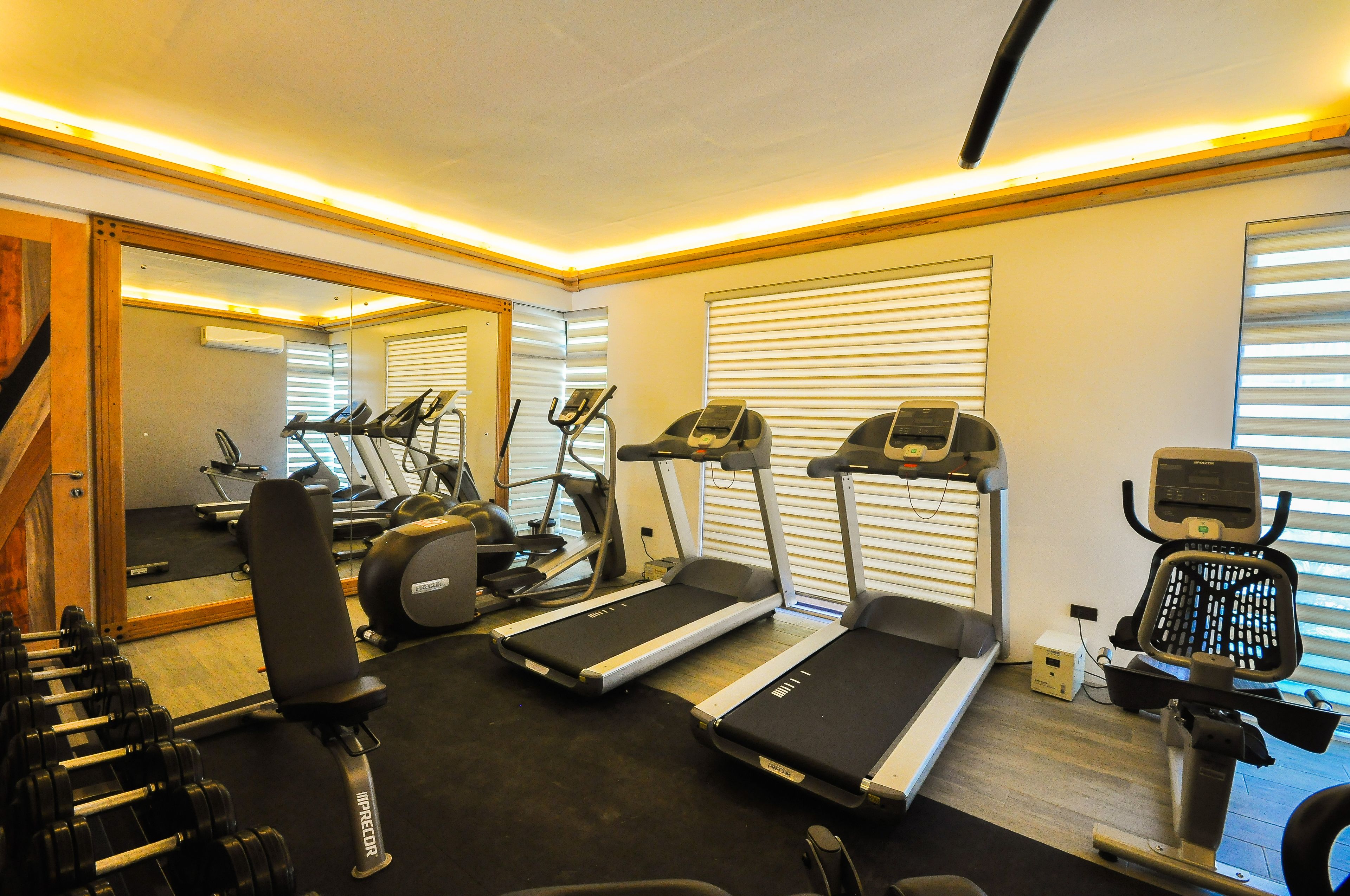 A gym with treadmills, elliptical machines, and weight benches.