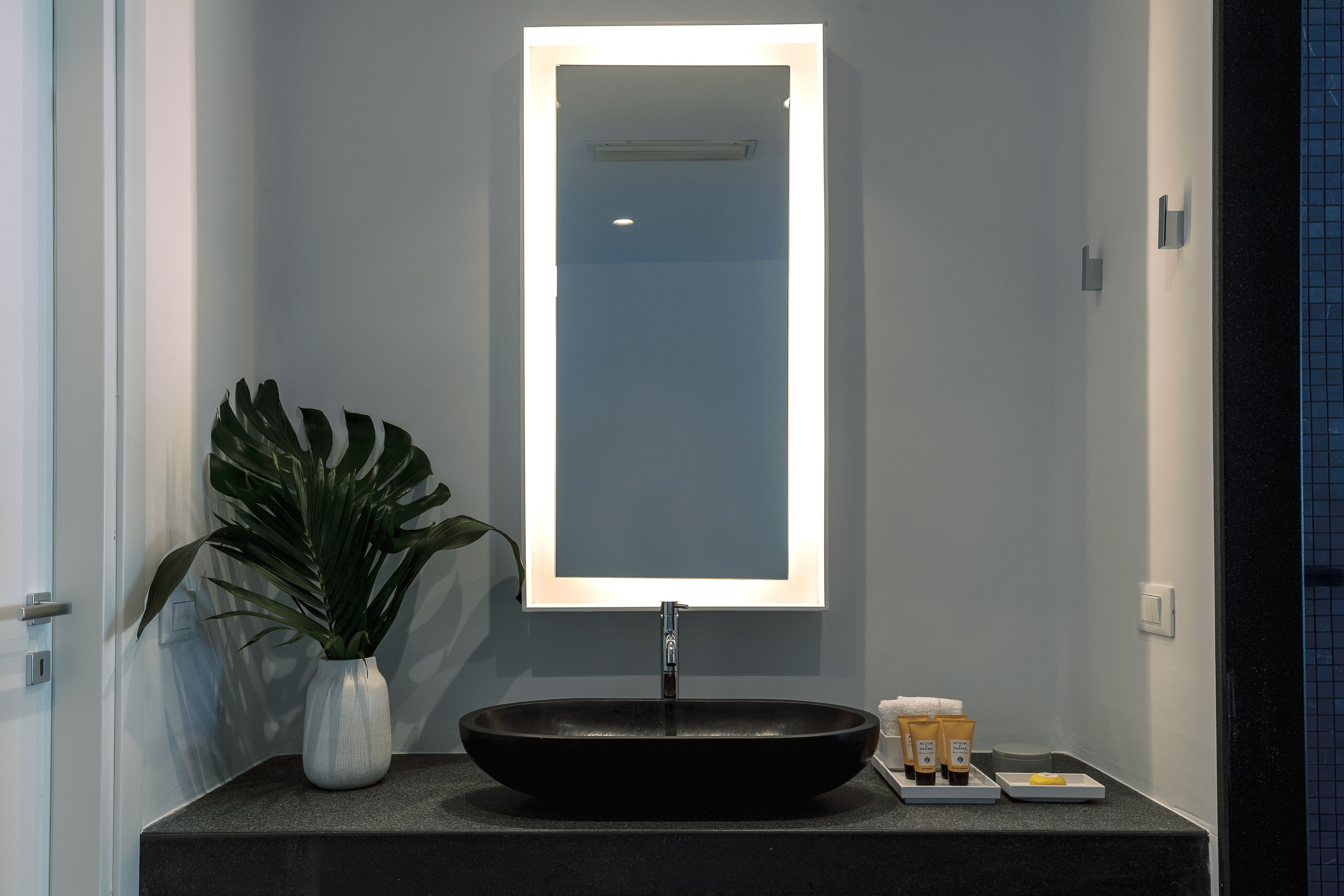 Une salle de bain avec un lavabo noir sur pied, un vase blanc contenant une plante et des articles de toilette posés sur le comptoir.