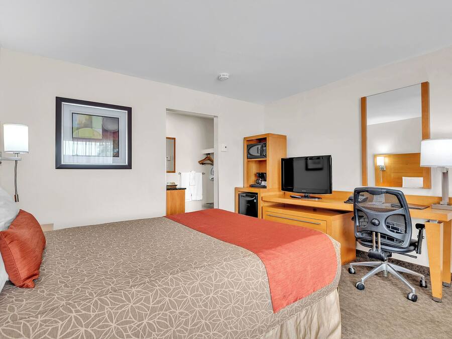 Habitación de hotel con cama, escritorio, televisor y espejo.