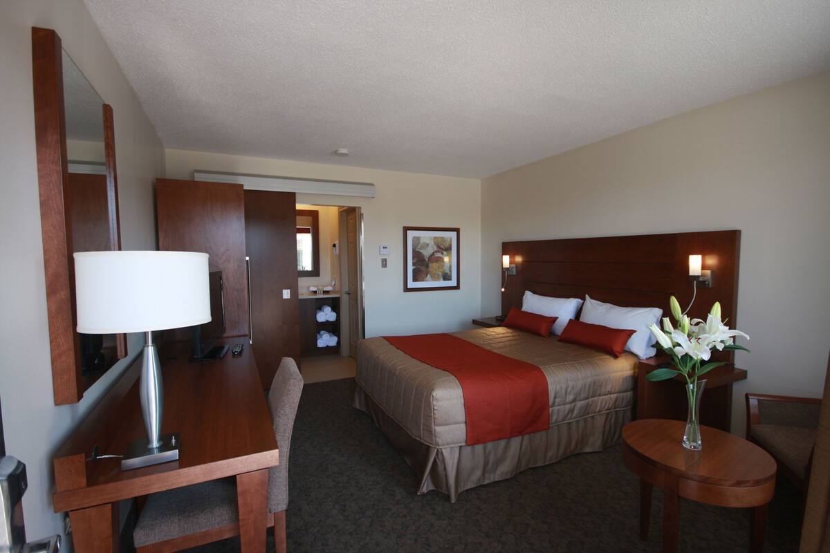 Hypo-allergenic bedding, desk, laptop workspace, blackout drapes