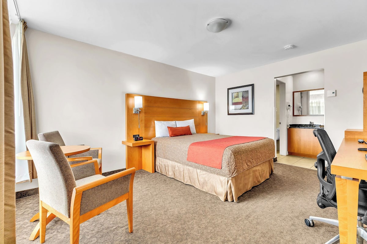 Business Room, 1 Queen Bed | Hypo-allergenic bedding available, desk, laptop workspace