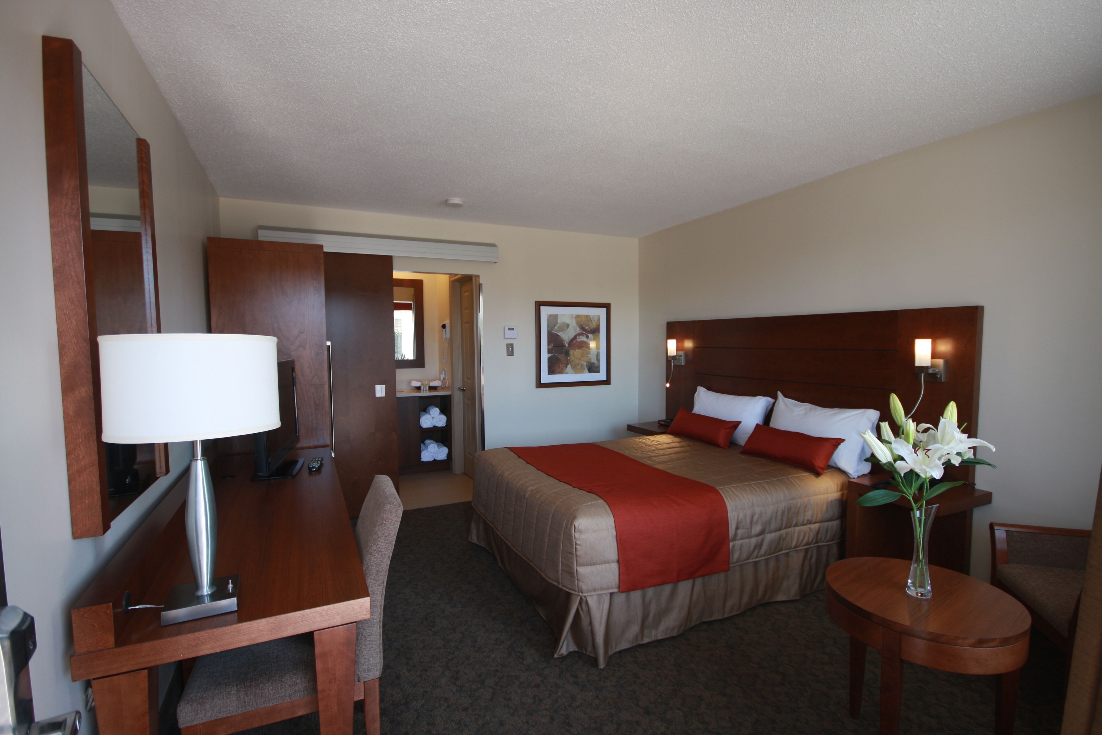 Hypo-allergenic bedding, desk, laptop workspace, blackout drapes