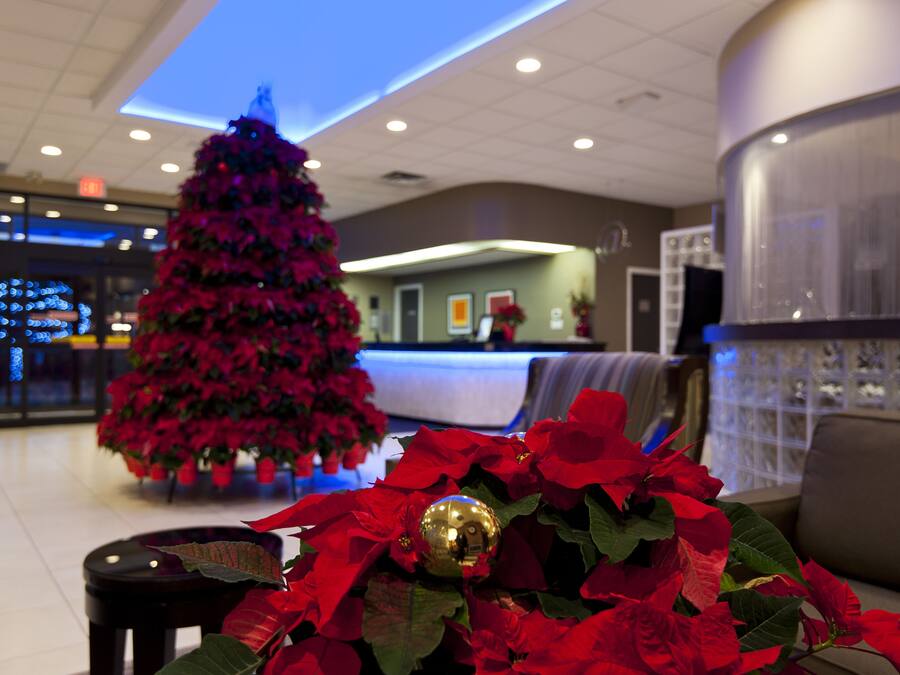 Un árbol de Navidad en un vestíbulo con mostrador de recepción y zona de estar.