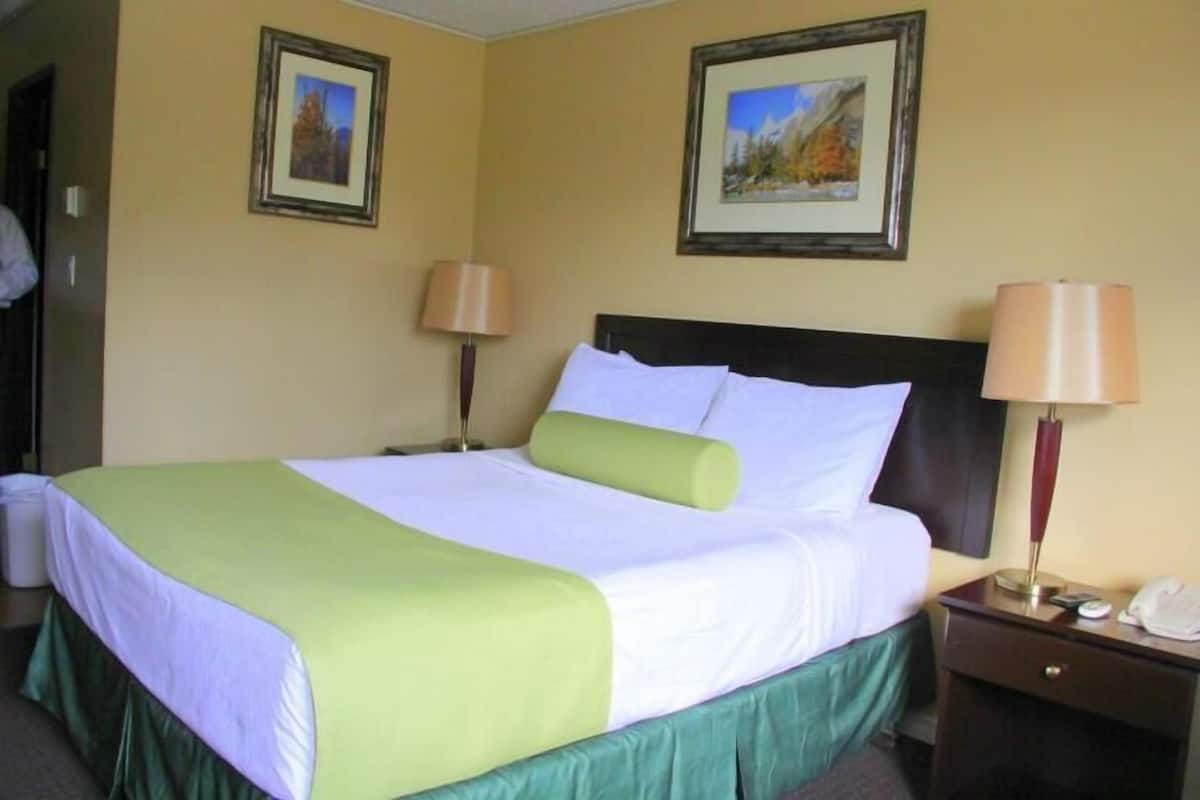Una habitación de hotel con una cama, dos lámparas de noche, una mesita de noche con un teléfono y dos cuadros en la pared.