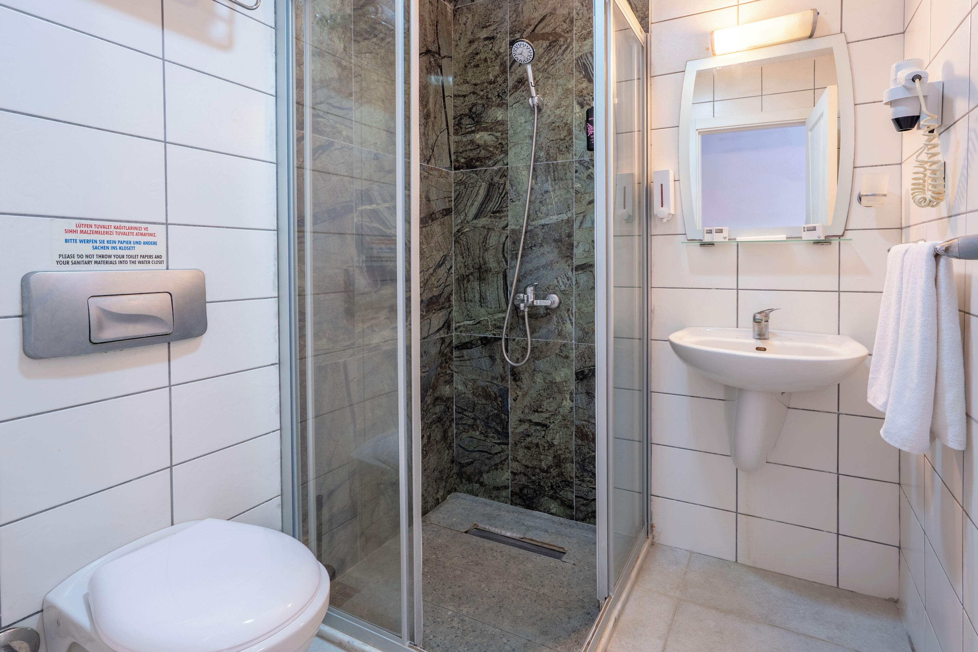 A bathroom with a glass-enclosed shower, a toilet, a sink, and a mirror.