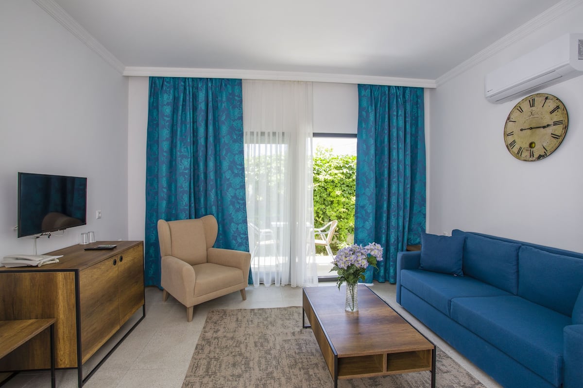 Deluxe Suit | Living room | TV