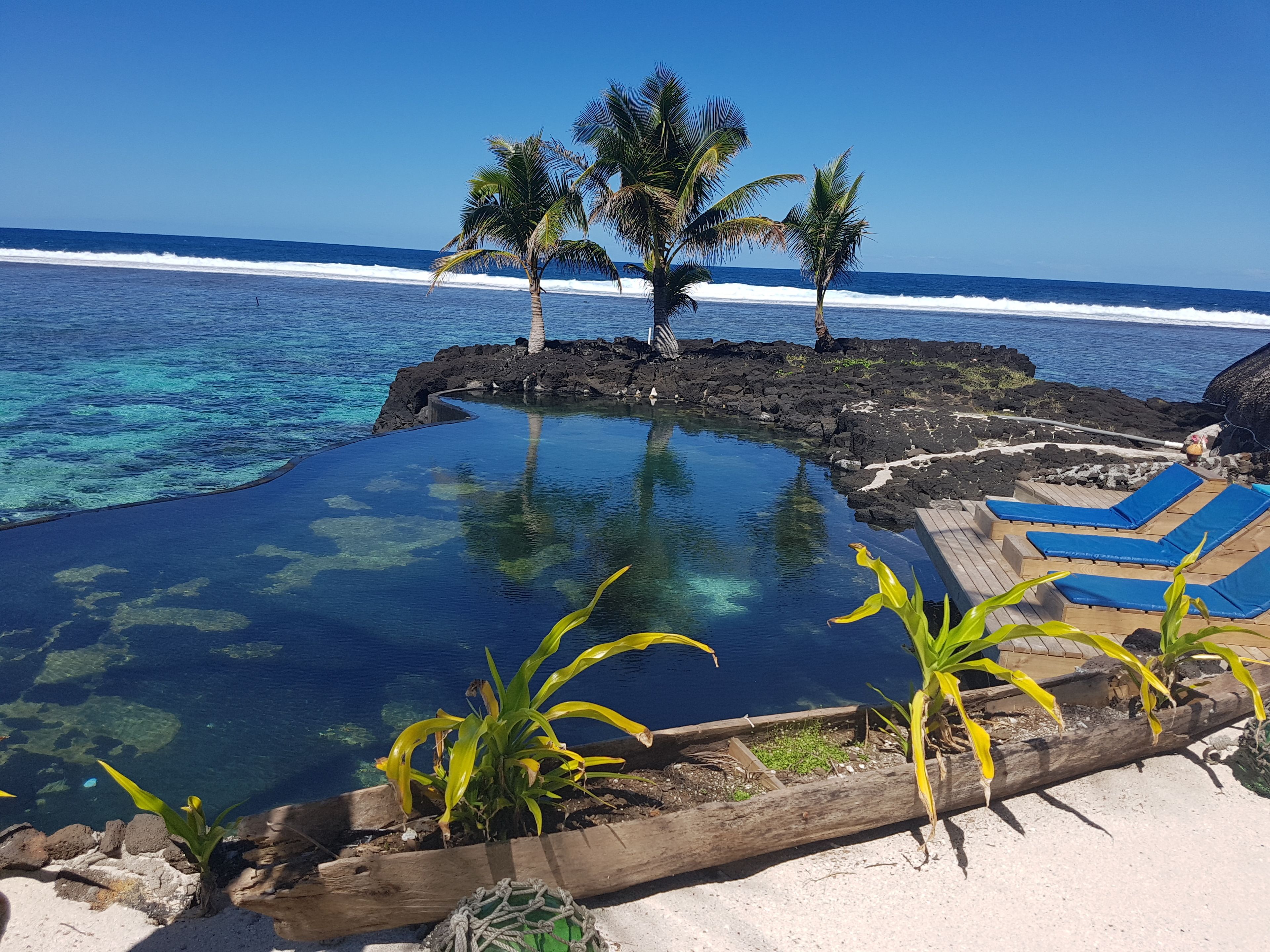 outdoor pool, pool loungers