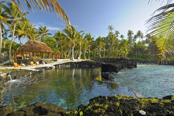 Outdoor pool, pool loungers