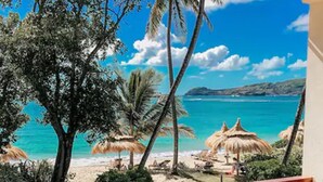 Un balcón con vista a una playa, palmeras y un cielo azul despejado.