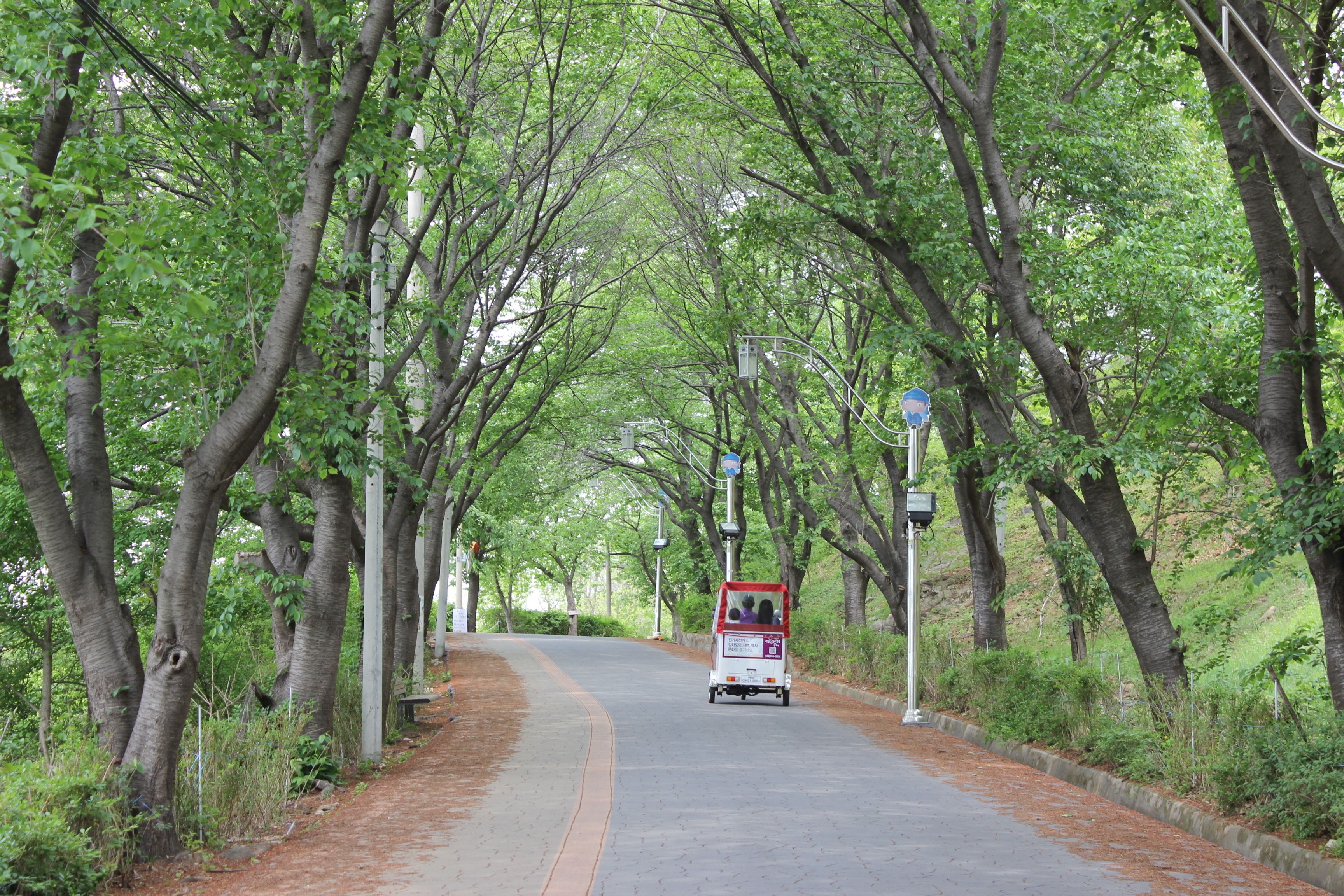 A paved road lined with trees, a red and white vehicle, and street lamps.
