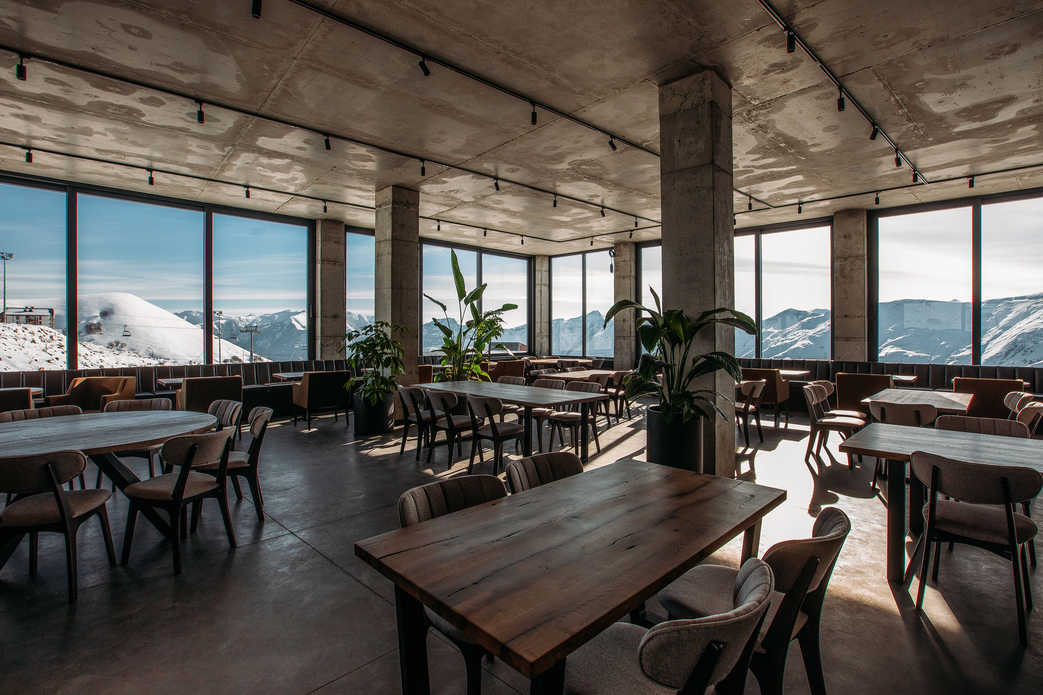 Un amplio espacio interior con grandes ventanales que ofrecen vistas a la montaña, mesas y sillas de madera, y plantas en macetas.