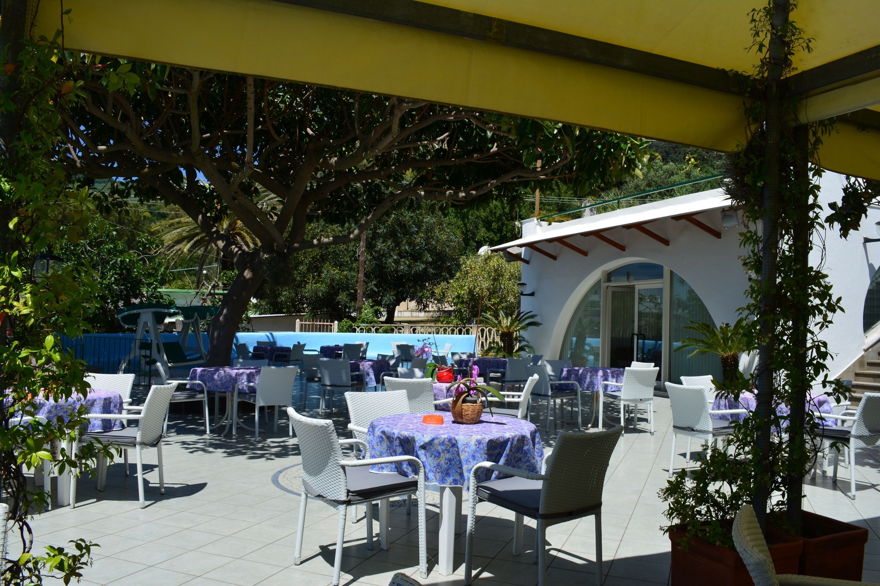 Foto - Hotel Maronti