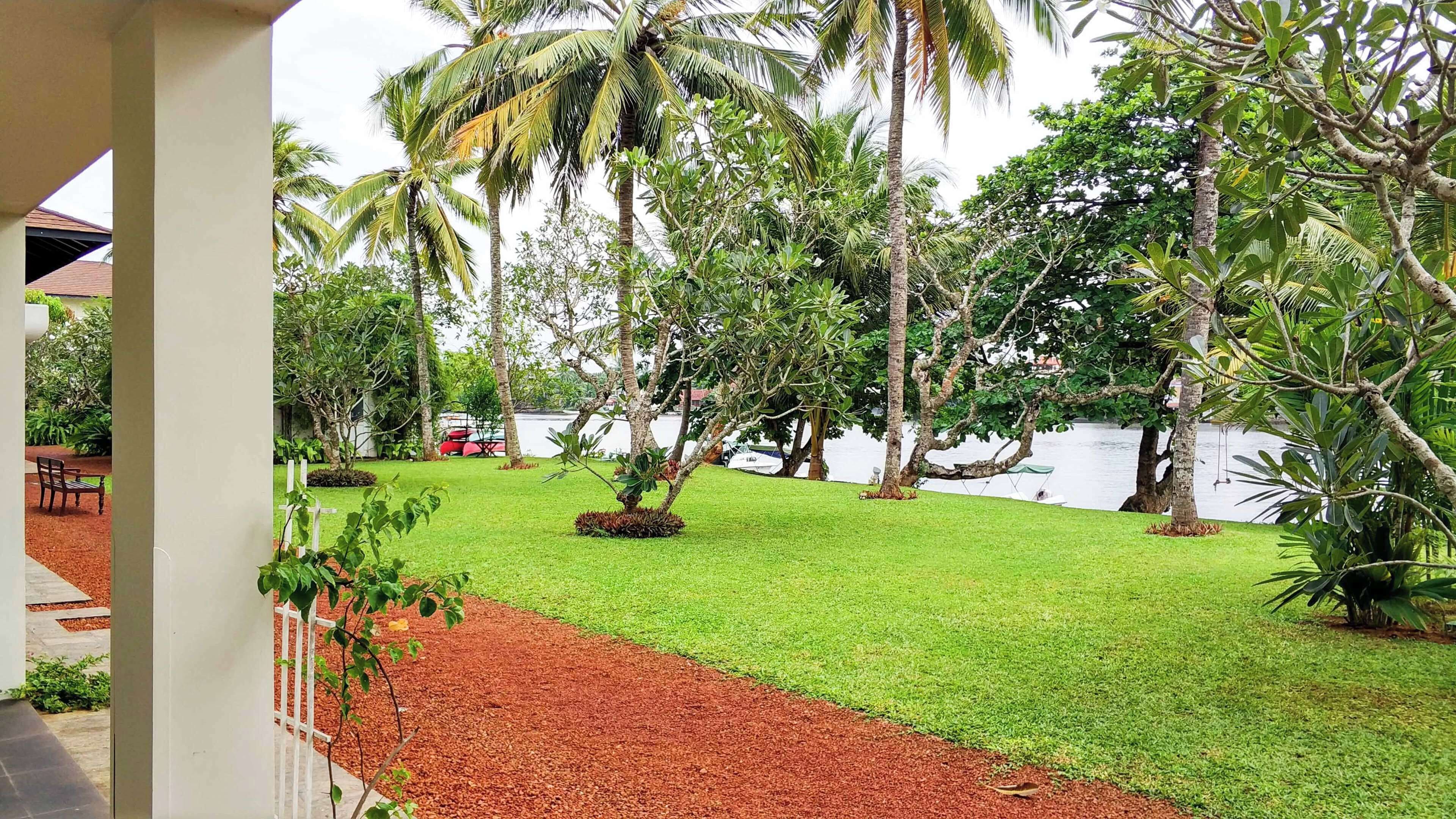 A lush garden with palm trees and a lawn, a white fence, and a body of water in the background.