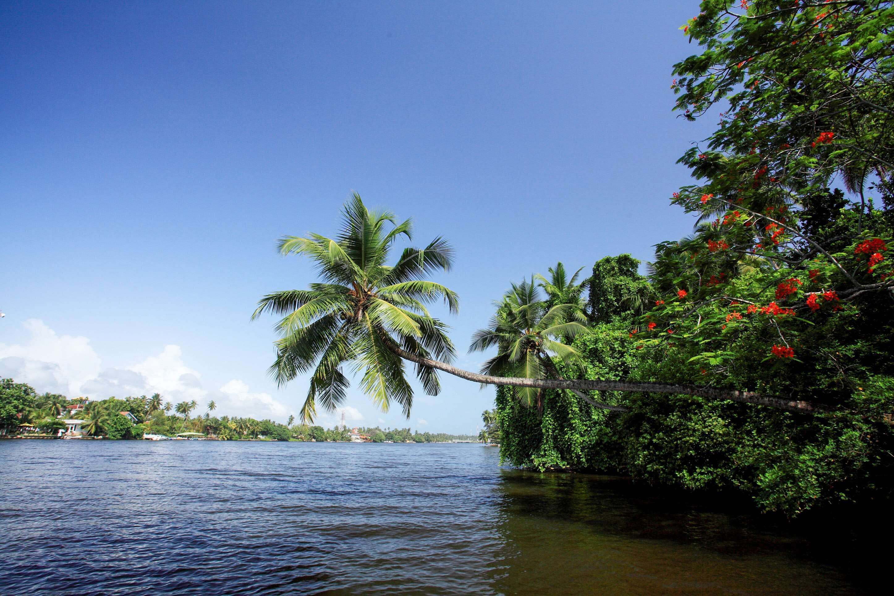 Foto - NH Bentota Ceysands Resort