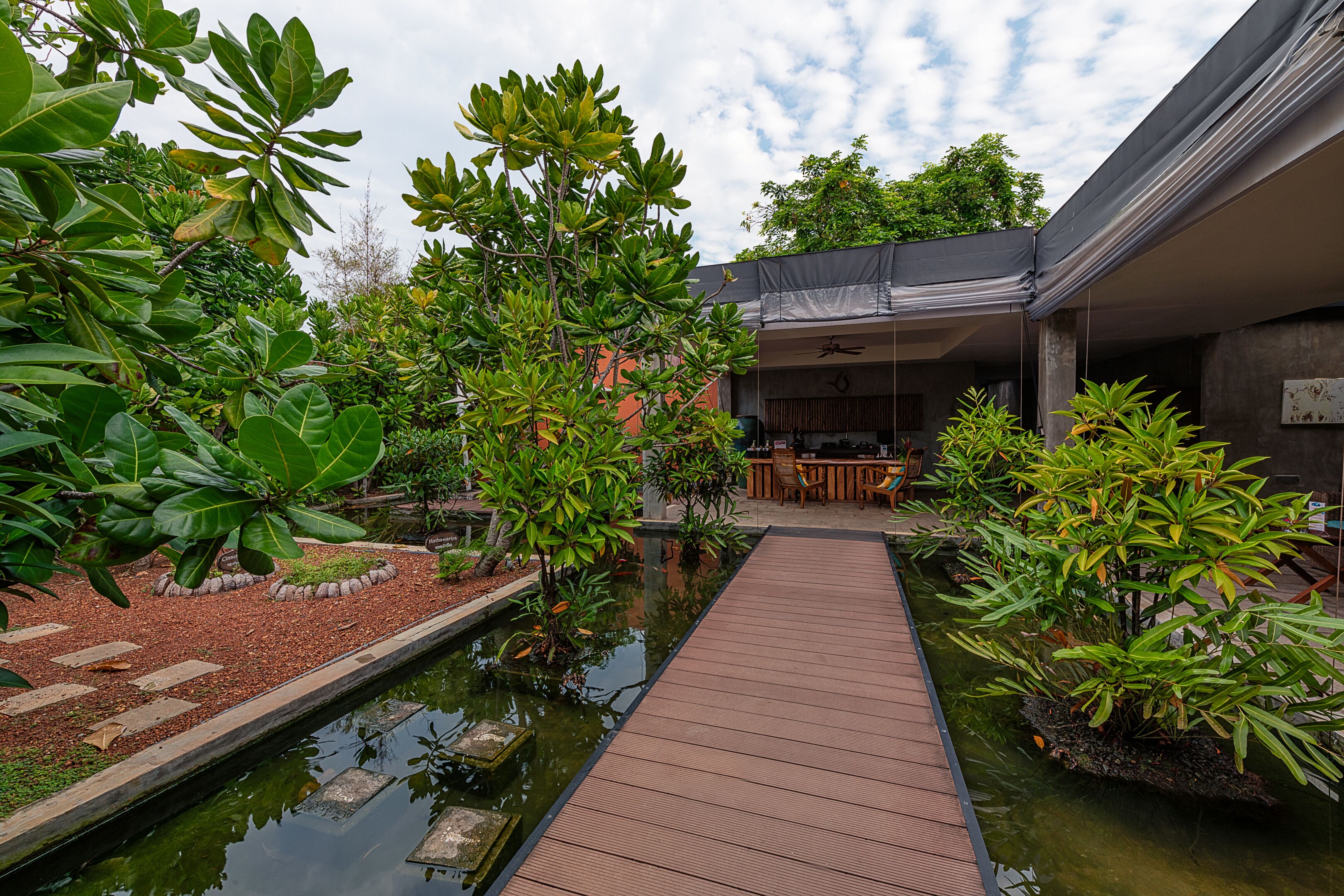 Une terrasse en bois mène à un espace extérieur abrité avec une piscine, le tout étant entouré de différentes plantes et arbres.