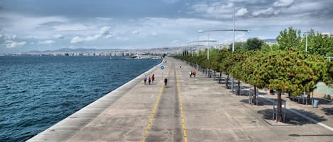 A waterfront promenade with a concrete path, trees, and street lamps.