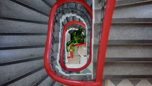 Eine Wendeltreppe mit roter Handlauf und Blick auf einen Raum mit Pflanze und einem roten Gegenstand auf einem Tisch.