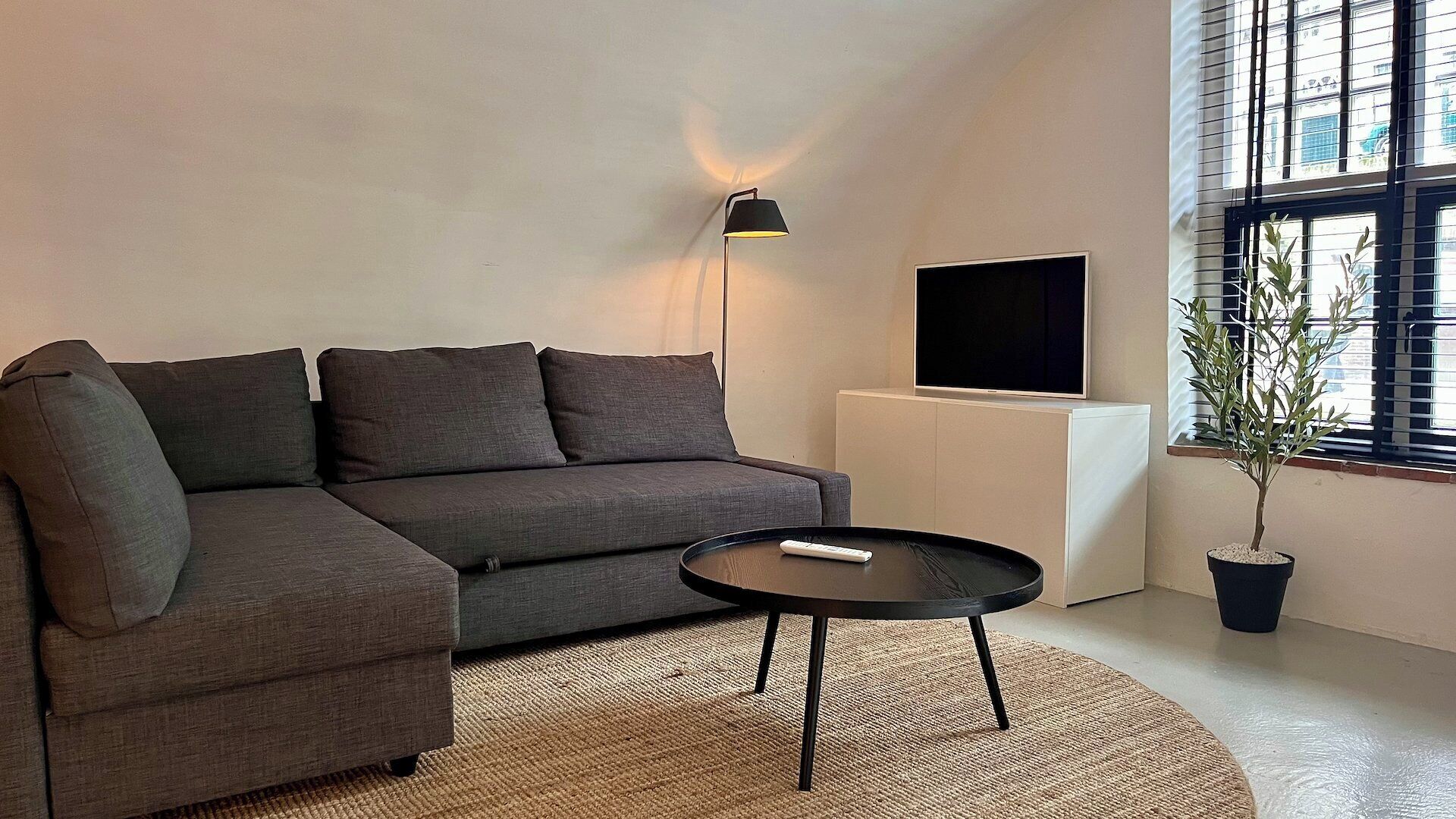 Ein modernes Wohnzimmer mit einer Couch, einem Couchtisch, einer Lampe, einem Fernseher und einer Zimmerpflanze.