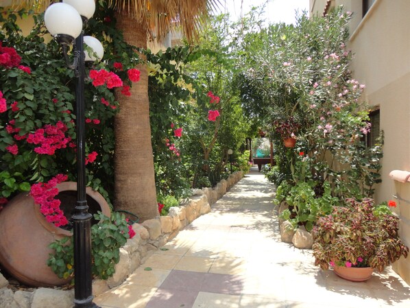 Garden - Panklitos Tourist Apartments (Paphos)