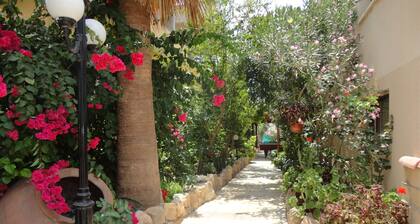 Panklitos Tourist Apartments