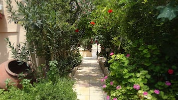 Jardín