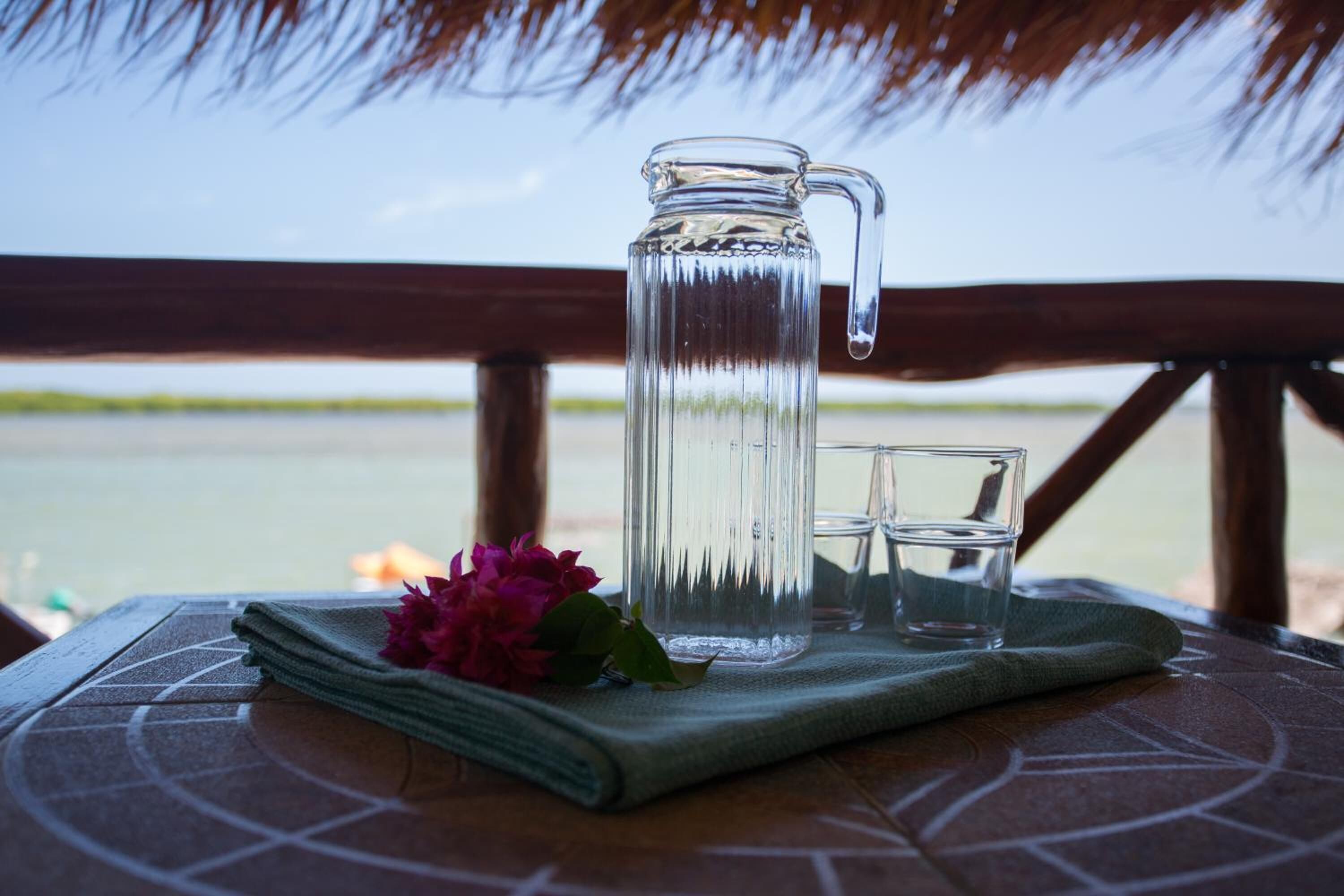 Un caraffa di vetro trasparente e un bicchiere su un tavolo con una tovaglia verde, un fiore rosa e vista su un corpo d'acqua.