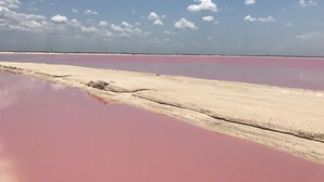 Una extensa planicie salada con charcos rosados de agua salada bajo un cielo despejado.